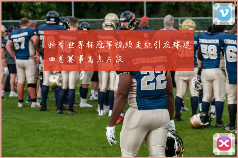 抖音世界杯冠军视频走红引发球迷回看赛事高光片段