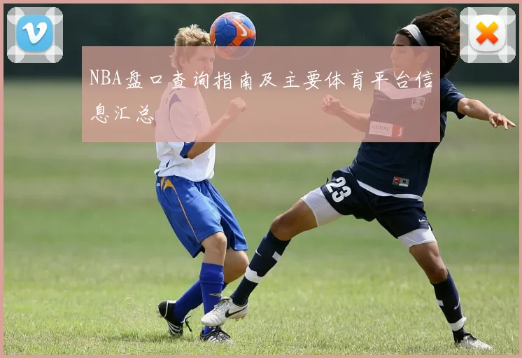 NBA盘口查询指南及主要体育平台信息汇总