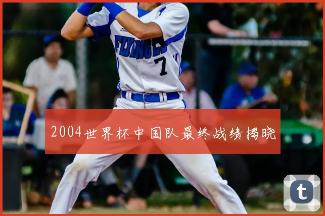 2004世界杯中国队最终战绩揭晓