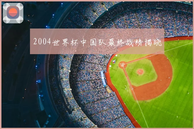 2004世界杯中国队最终战绩揭晓